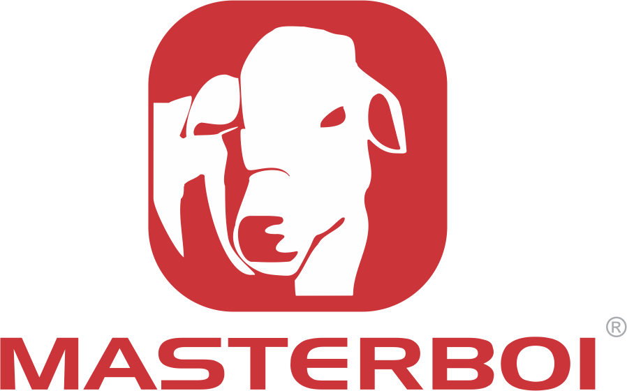 Logo-Masterboi